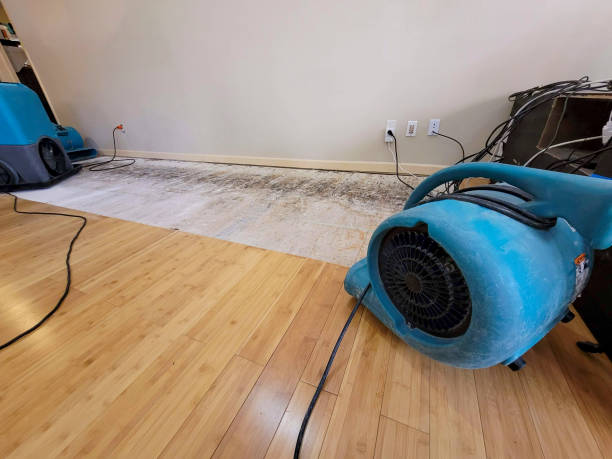 Professional Water Extraction technician working in Amado, AZ